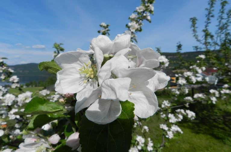vestfossen_02