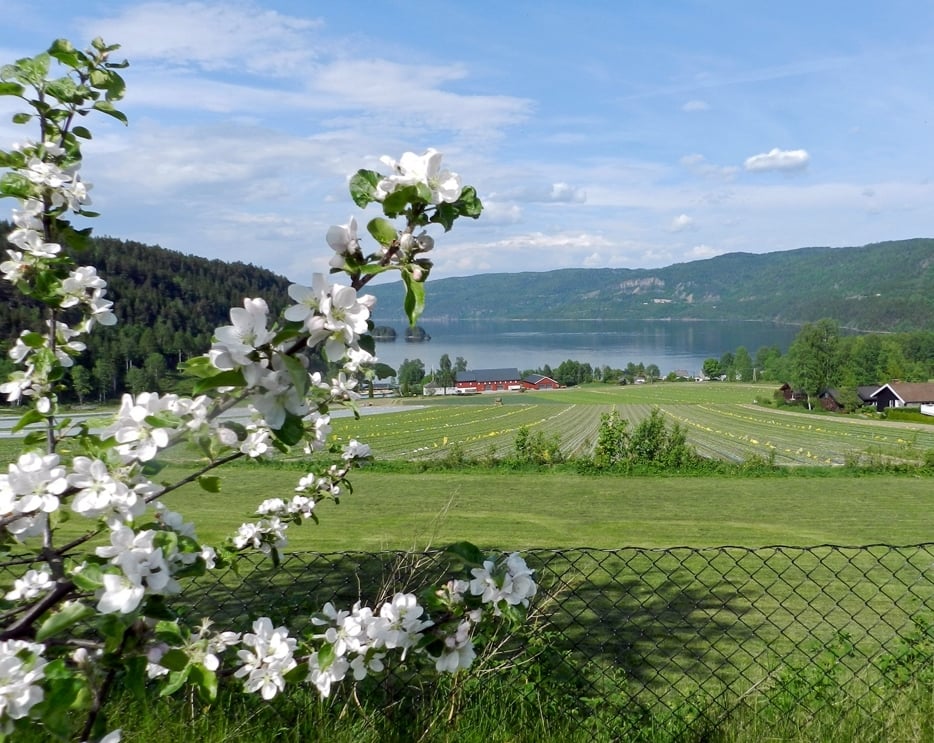 Villa Skaar Sylling utsikt